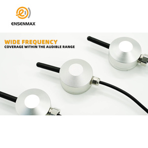 Outil de <span class=keywords><strong>d</strong></span>étection des <span class=keywords><strong>d</strong></span>éfauts par empreintes acoustiques |   Sonde de contact haute précision pour applications industrielles (énergie, diesel, béton) et laboratoires (asphalte, sol, eau) - Product Image 4