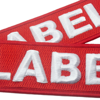 Écussons brodés 3D en gros, étiquettes de vêtements personnalisées avec logo brodé pour vêtements
