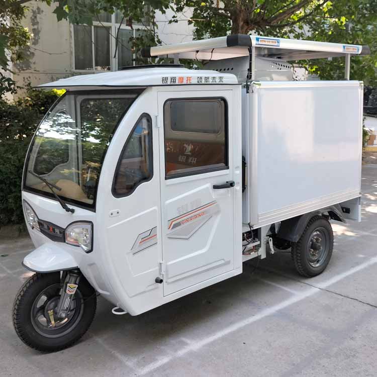 Solar Battery Electric Tricycles Cabin Three Wheel Motorcycle Electric Tricycles