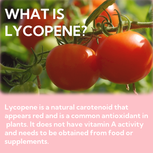 男性と女性のための工場価格前立腺プレミアムのこぎりイラクサAshwagandha LycopeneサプリメントLycopeneタブレット - Product Image 2