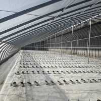Serre tunnel en acier galvanisé en forme de C