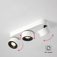 Lumière tubulaire anti-éblouissement intérieure de haute qualité personnalisée 12w 85-265V Spot de plafond réglable à montage en surface