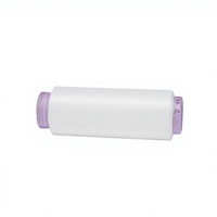 Fil de polyester TFO SD DTY 300D/144F 1550TPM pour tissu tissé à fort pouvoir ombrant