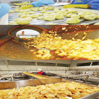 Ligne de production de chips de pommes de terre entièrement automatique 100-5000kg/heure