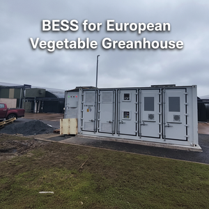 SCU Industrial Battery Outdoor 500KW 1MWh Container BESS Solar Battery <b>Energy</b> <b>Storage</b> <b>System</b> - Product Image 1