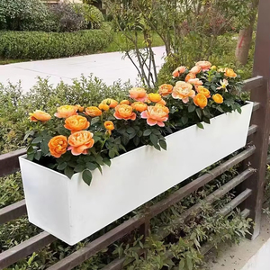 Maceta Cuadrada Grande con Sistema de Riego Automático para Plantas Bonsái, Ideal para Balcón y Hogar - Product Image 2