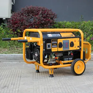 Bison China 230V 3 Kw 3Kw Biogas Lpg Gas Elektrische Power Benzine Generator