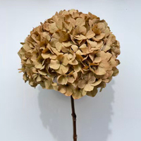 Hortensia à grandes feuilles, aspect naturel, écologique, longue durée, pour décoration de Noël et de mariage, idéal pour les fleurs de vase DIY (vente en gros)
