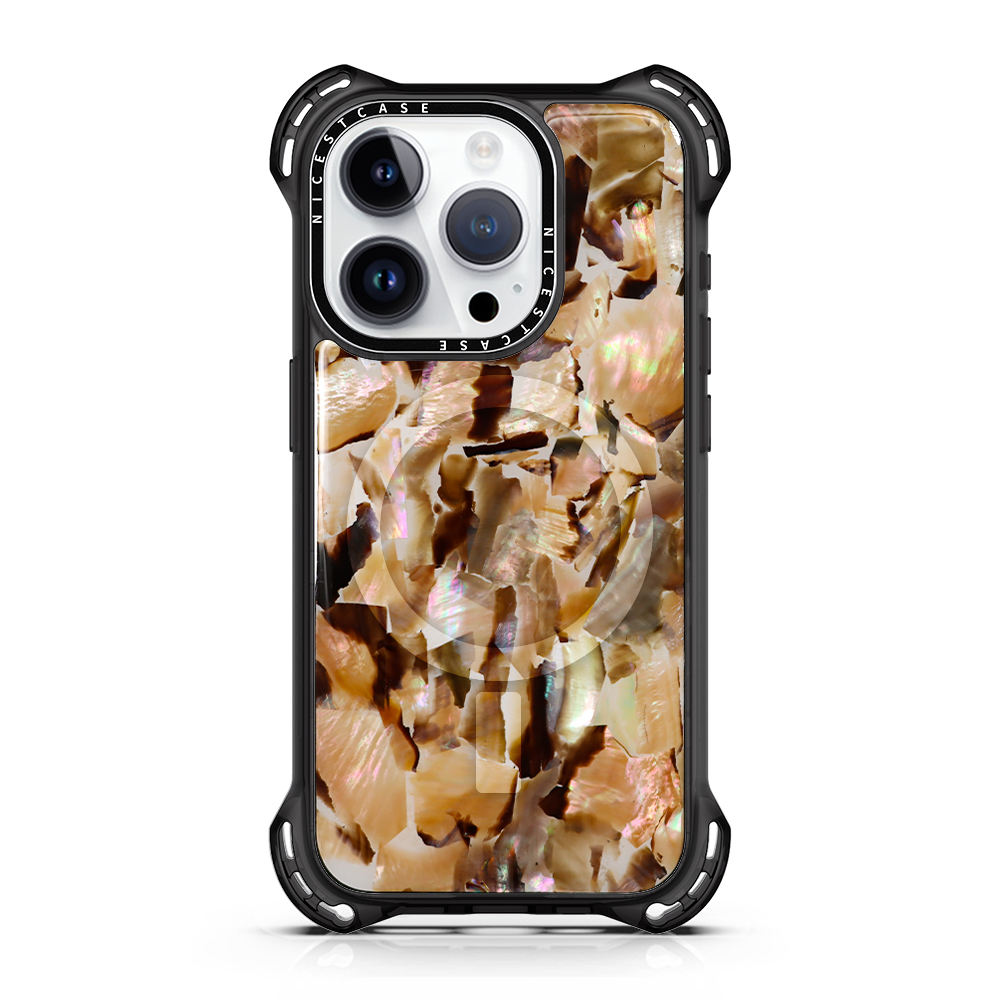 E256 แม่เหล็ก