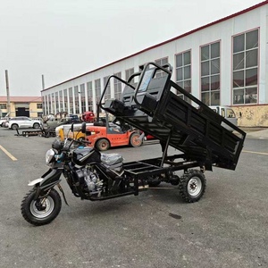 Motocicleta de Tres Ruedas a Gasolina, Vehículo Agrícola de Tres Ruedas, Vehículo de Carga Doméstico de Tres Ruedas - Product Image 5