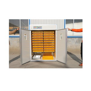 High Quality Incubators for Sale <b>Egg</b> Incubator Automatic 60 <b>Egg</b> Incubator - Product Image 2