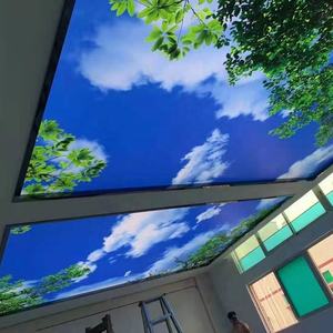 Panneaux <span class=keywords><strong>de</strong></span> conception intérieure <span class=keywords><strong>de</strong></span> hall d'impression <span class=keywords><strong>de</strong></span> fleur <span class=keywords><strong>de</strong></span> ZHIHAI 3d panneautage <span class=keywords><strong>de</strong></span> <span class=keywords><strong>plafond</strong></span> <span class=keywords><strong>de</strong></span> PVC - Product Image 5