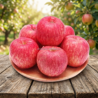 Verse, frisse appels, zoete smaak, rode Fuji, heerlijke Gala, Shandong, graad 1, 6cm, 20kg, koude opslag, merk JUFU