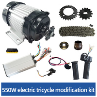 Kontroler Motor DC Brushless untuk Konversi Kendaraan Roda Tiga Menjadi Kendaraan Listrik 550W 48V Motor Magnet Permanen dengan Roda Gigi Tembaga IP65 Pabrik