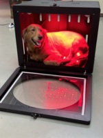 Appareil de luminothérapie infrarouge et UV rouge sur pied pour usage domestique, soulagement des douleurs corporelles, usage clinique à domicile, OEM/ODM, garantie 3 ans pour animaux de compagnie