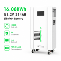 Batterie LiFePO4 de stockage d'énergie solaire commerciale et domestique à cycle long 51.2V 314AH 16KWH avec bande LED
