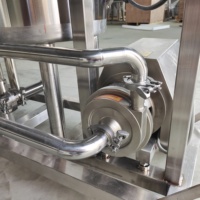 Système automatique de lavage et de nettoyage CIP en acier inoxydable 100L pour le projet clé en main de réservoir de brassage de bière