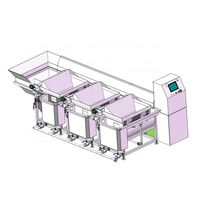 Multifunctionele Plc Controle Continue Fruit Mango Zeevruchten Vlees Wassen Blancheren Koelmachine
