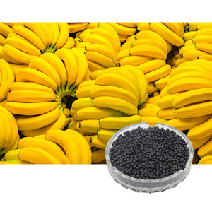 เม็ดกรดอะมิโนปลดปล่อยแบบควบคุม, ปุ๋ยอินทรีย์คุณภาพสูง NPK, เหมาะสำหรับผักและผลไม้ - Product Image 5