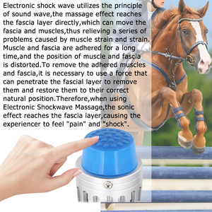 शॉकवेव भौतिक चिकित्सा उपकरण दर्द राहत पशु चिकित्सा उपकरण दर्द निवारक मशीन - Product Image 5