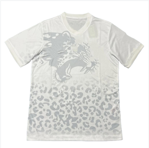 刚果国家足球队2526吸湿排汗球员版网眼透气男式足球服 - Product Image 4