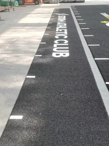 Nwt năng động <span class=keywords><strong>Turf</strong></span> nhân tạo chạy nước rút SLED cỏ bài hát phòng tập thể dục sàn - Product Image 4