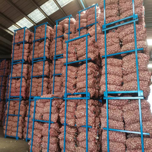 <span class=keywords><strong>Ajo</strong></span> Crudo de Piel Morada Característico de Henan, Cultivado con Cuidado, Picante y Especiado, Gran Éxito de Ventas en Todo el Mundo - Product Image 5
