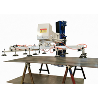 Máquina de Carga Láser Personalizable - Robot de Brazo Oscilante con Capacidad de Carga de 500 kg y Motor Herochu de 600 W