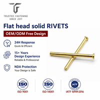 Rivets plats personnalisés TianFang pour assemblages de dissipateurs thermiques, aluminium naturel, conception OEM ODM et approvisionnement en gros, devis rapide