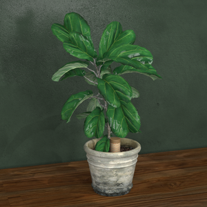 Pot d'irrigation Olla personnalisé, pot en <span class=keywords><strong>terre</strong></span> <span class=keywords><strong>cuite</strong></span> à <span class=keywords><strong>arrosage</strong></span> automatique pour décoration de jardin de village et entretien efficace des plantes - Product Image 6