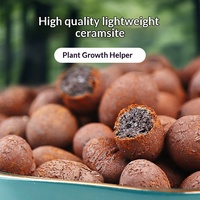 Vente en gros OEM – Gravier d'argile expansée (LECA) personnalisé avec logo, céramique expansée pour culture hydroponique, idéal pour le dropshipping