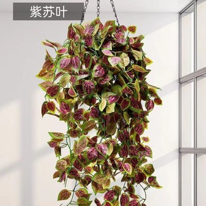 Décoration murale d'intérieur pour maison simulation rotin simulation feuille de pothos creeper vente en gros - Product Image 2