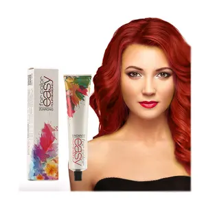 NOUVEAU Produits de salon de coiffure Faible teneur en ammoniac Super Hot Fashion Couleur rouge Crème de teinture permanente pour cheveux Colorants organiques pour cheveux en gros