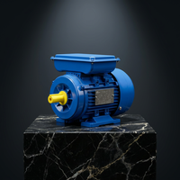 Moteur monophasé de petite taille 0,25 kW 1/3 CV avec boîtier en aluminium et condensateur pour petites machines