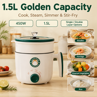 Casserole électrique multifonctionnelle portable tout-en-un, mini, économiseur d'énergie, pour 1 à 2 personnes, utilisation en extérieur, camping-car, capacité 1,2L-3L
