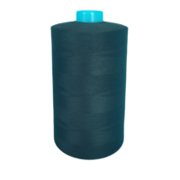 Fil 100 % polyester haute ténacité en gros pour machines Brother/Singer, fils de couture domestiques, fils à tricoter, fils à broder, fils à crocheter, teints