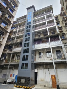 Ascensor Residencial Moderno Bowete <span class=keywords><strong>de</strong></span> Bajo Ruido con Motor AC, 200 kg, para Dos Personas, 2/3 Pisos, Uso en Talleres y Parques, en Venta - Product Image 4