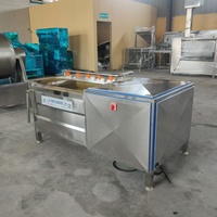 Machine industrielle CE à bas prix, 1500 kg/h, à rouleaux brosse, pour éplucher et nettoyer le gingembre, le manioc, la pomme de terre et l'oignon