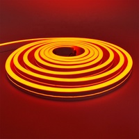 Néon Flexible LED Étanche Numérique DMX, Ruban Lumineux de Noël RVB RVBW, Ultra Fin 3mm 5mm 6mm, Personnalisé 12V 24V pour Enseignes