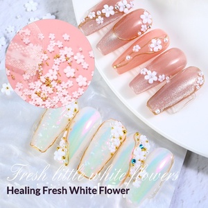 Fleur blanche à cinq pétales, célèbre sur internet, en résine tridimensionnelle, avec perles en or, argent et acier, grandes et petites fleurs mélangées pour ongles - Product Image 3