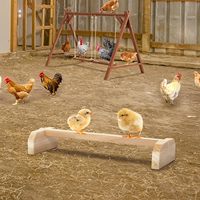 Perchoir en bois massif anti-rotation pour poussins, barre de repos facile à assembler pour petits oiseaux, canetons, cailles
