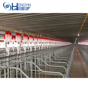 Jaula Galvanizada con Comederos al Mejor Precio, Equipo para Cría <span class=keywords><strong>de</strong></span> <span class=keywords><strong>Cerdos</strong></span>, Corral <span class=keywords><strong>de</strong></span> Gestación para <span class=keywords><strong>Cerdos</strong></span> - Product Image 6