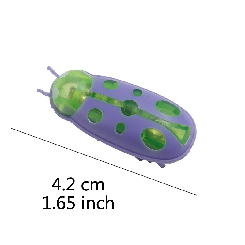 Purple 1