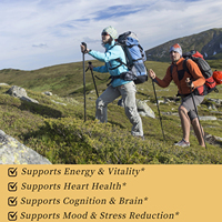 Capsules de complexe de thiamine OEM ODM : Soutien énergétique amélioré, favorise la fonction neurologique et la production d'énergie cellulaire