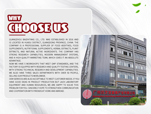 Té Adelgazante Herbal Orgánico OEM de Bajo Contenido en Grasas, Diseño Especial, Marca Privada, Rápido, Efectivo para un Vientre Plano, <span class=keywords><strong>Detox</strong></span> de 28 Días para la Pérdida de Peso - Product Image 2