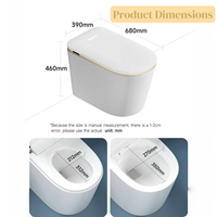 WC intelligent électrique en céramique Golden Hotel, cuvette de toilette intelligente à poser au sol avec télécommande