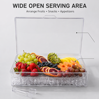 Hot Sale Transparent PS Plastic Chilled Fruit Platter With Flip Lid for Backyard Events BBQ Buffet Food Serving