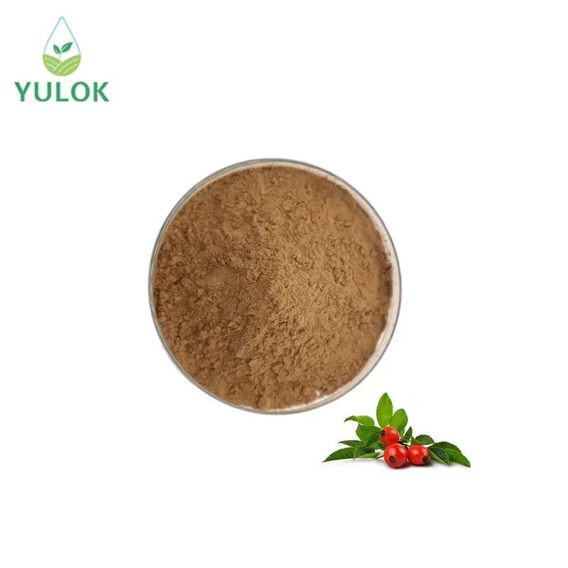 Grosir bubuk ekstrak buah Rosehip ekstrak panggul alami Vitamin C jumlah besar