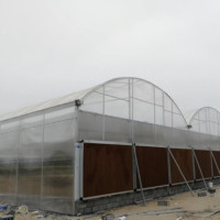 Woestijn Groentekas Voor Tomaat Komkommer Sla Aardbei Polycarbonaat Kas Voor Groenten
