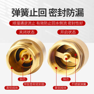 Válvula de Retención de Latón Huihong, de Paso Recto, de Disco Único, para Agua y Petróleo, Válvula Unidireccional, Superficie Pulida - Product Image 1